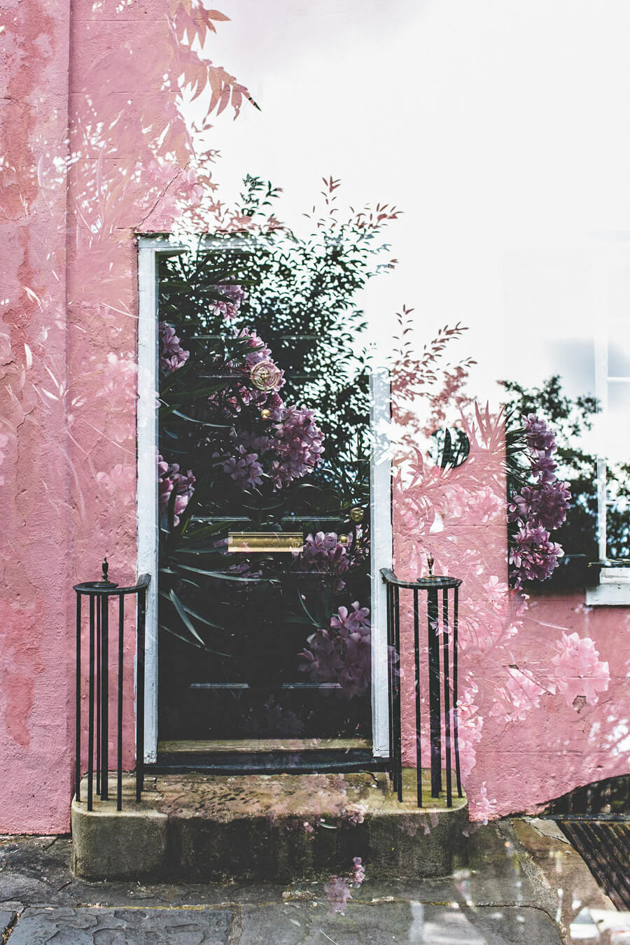 Southern Belles 2