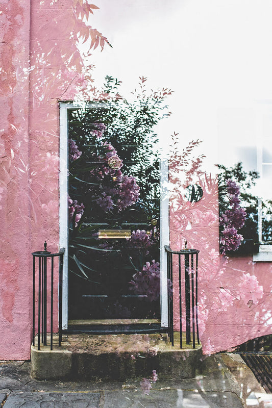 Southern Belles 2